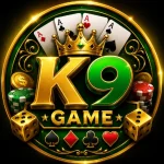 K9 Game