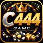 C444 Game