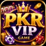 PKRVIP Game