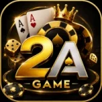 2A Game
