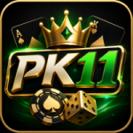 PK11 Game