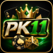PK11 Game